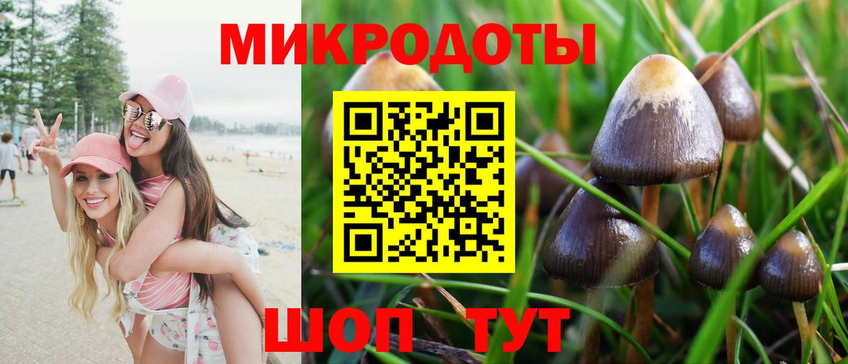 Когалым  Псилоцибиновые грибы мицелий  Вход с VPN 