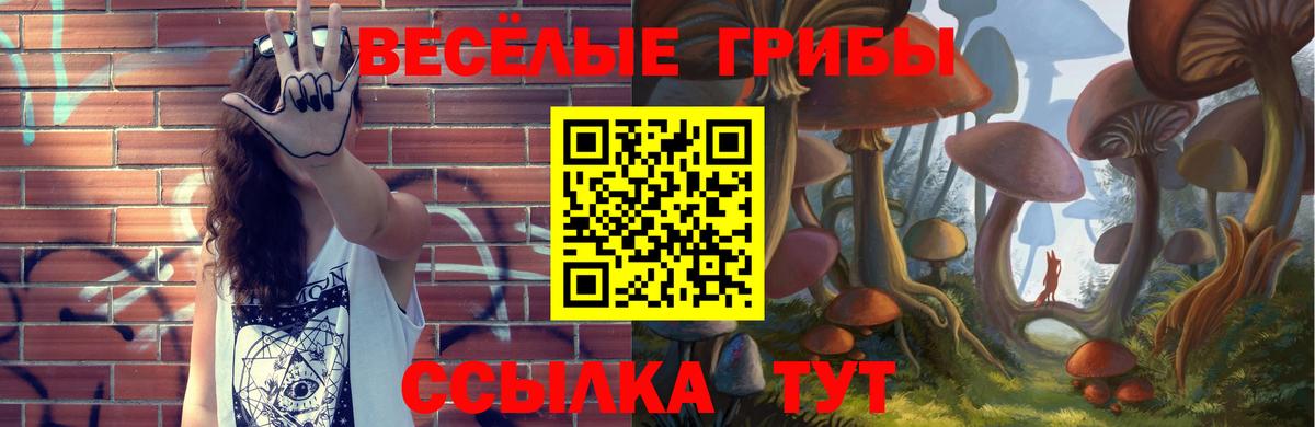 Галлюциногенные грибы Psilocybe Когалым