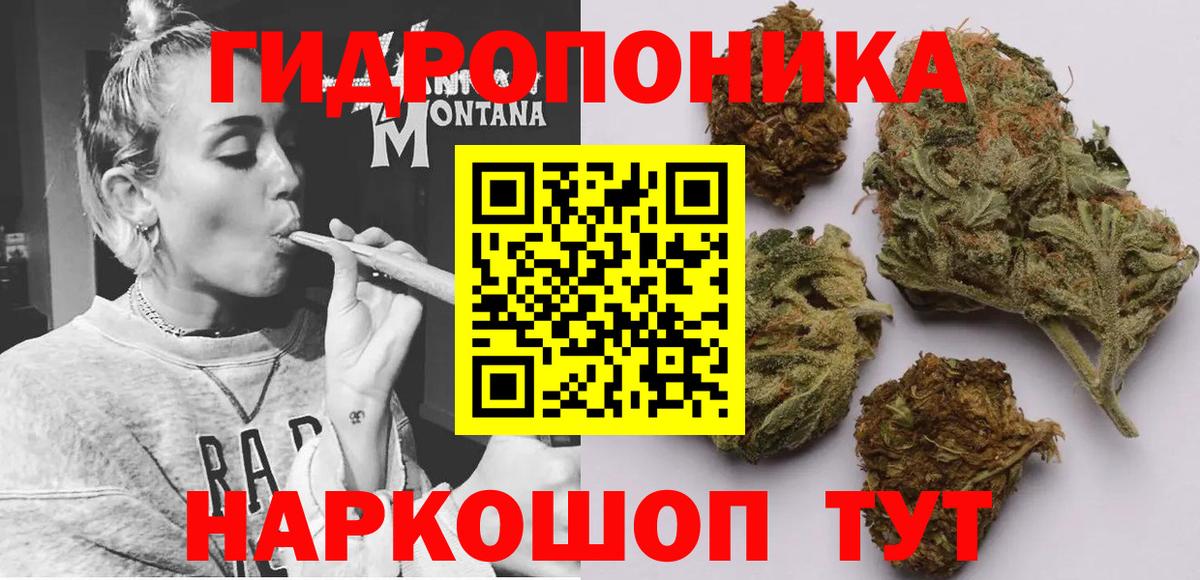 Каннабис Amnesia Когалым
